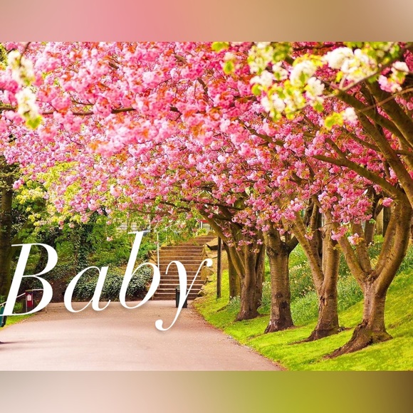 🍼 Baby Items - Picture 7 of 8